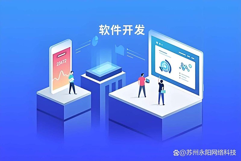 系统定制开发